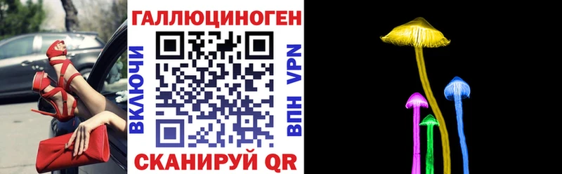 кракен ONION  Исилькуль  Псилоцибиновые грибы мицелий 